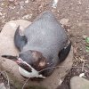 IMG_20220218_110559_079