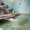 IMG_20220329_091427_628
