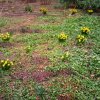 IMG_20220329_091759_723