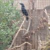 IMG_20220329_091950_081