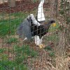 IMG_20220329_092032_167