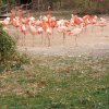 IMG_20220329_092112_730