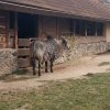 IMG_20220329_094054_563