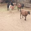 IMG_20220329_094218_924