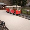 IMG_20220329_095019_565