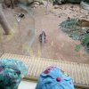 IMG_20220329_103356_616