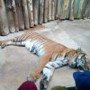 IMG_20220329_103445_833