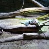 IMG_20220329_103634_398