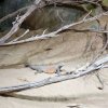 IMG_20220329_103837_095
