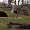 IMG_20220329_104506_352