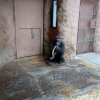 IMG_20220329_104731_1