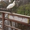 IMG_20220329_105904_134