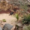 IMG_20220329_110631_029