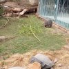 IMG_20220329_110655_270
