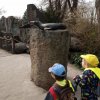 IMG_20220329_111102_833