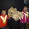 IMG-20220329-WA0018