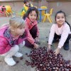 IMG-20211103-WA0012