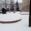 IMG_20220304_095704_6