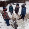IMG_20220304_102939_2