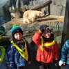 IMG_20220309_091149
