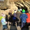 IMG_20220309_093123