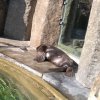 IMG_20220309_101305