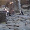 IMG_20220309_102045