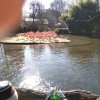 IMG_20220309_102354