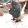 IMG_20220309_103845