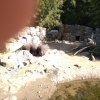 IMG_20220309_104428