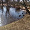 IMG_20220309_104531