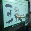 IMG_20211109_095944