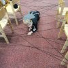 IMG_20211026_093328