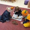 IMG_20211026_094340