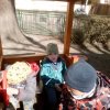 IMG_20220322_104759_4