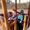IMG_20220322_104813_3