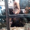 IMG_20211109_103345_9