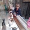 IMG_20211109_103817_2
