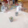 IMG_20220118_095119_5