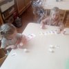 IMG_20220118_095550_9