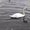 IMG_20210922_103416