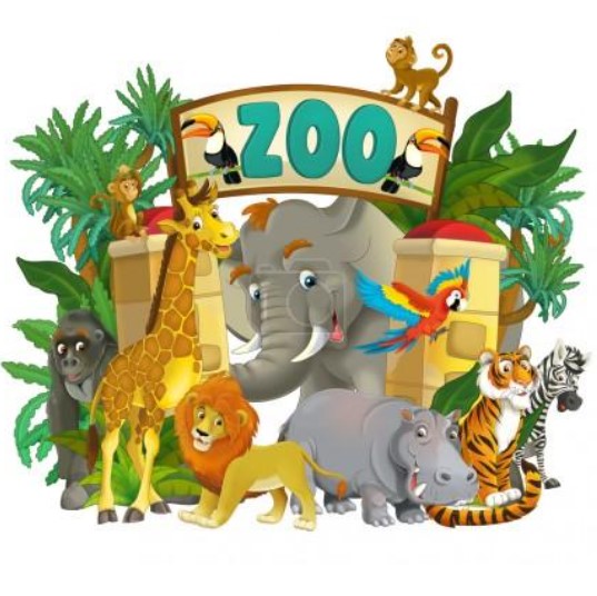 zoo