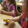 20170529_102405_resized_2-400