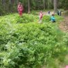 IMG-20170617-WA0000-400