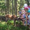 IMG-20170622-WA0006