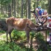 IMG-20170622-WA0009