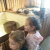 20190405_102437