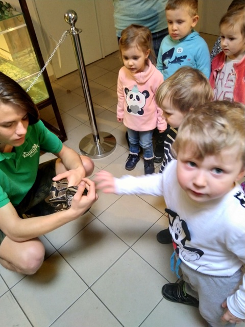 IMG 20190305 100802