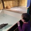 IMG_20190305_102023