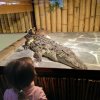 IMG_20190305_102154